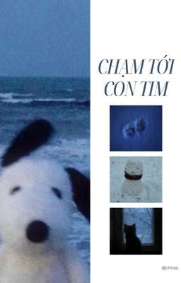 SahSol | R18 Chạm Tới Con Tim 