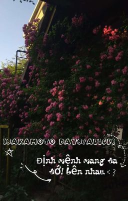 [Sakamoto days/AllCP] Định mệnh mang ta tới bên nhau