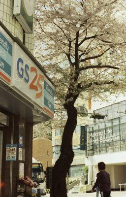 Sáng sớm chạy đến bên em