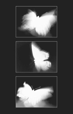 |sangrio| masterpiece