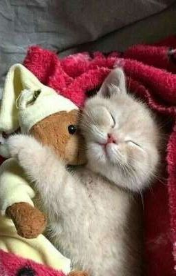 [ Sasosaku ] - Tan biến 