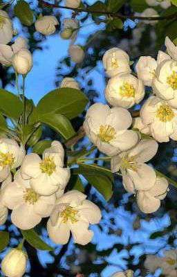 Sau Khi Vai Ác Từ Chức 