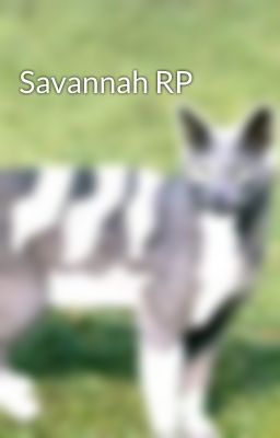 Savannah RP