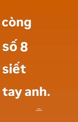 sb | phượng hoàng lửa