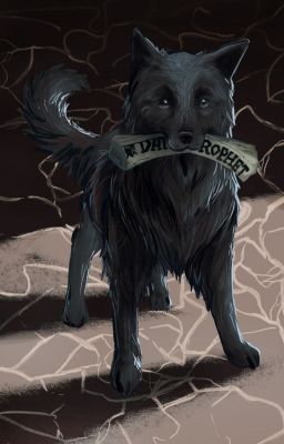 [SBSS] Padfoot bé nhỏ