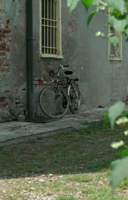 [ scorpio / pisces ] bảy giờ tối là nắng tắt