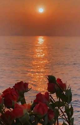 [SE]Hoàng Hôn Ngày Cuối Thu