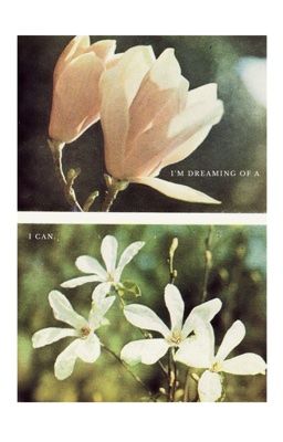 [SEANKEON] ...Đến Rìa Ánh Sáng