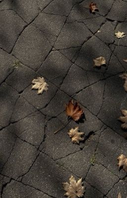 | seankeon | - gia sư 