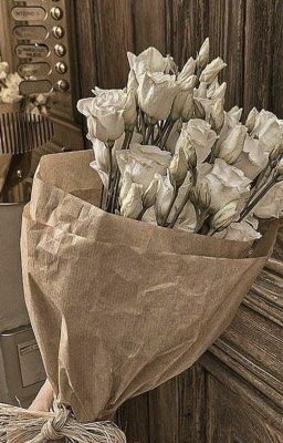 seankeon | lấy vợ