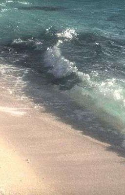 [ SeanKeon ]  • Low Tide •