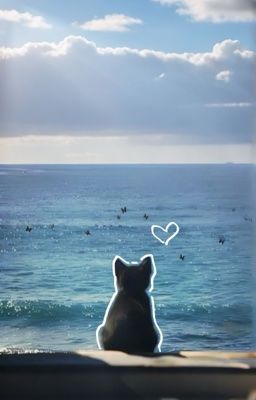 seankeon - một mai