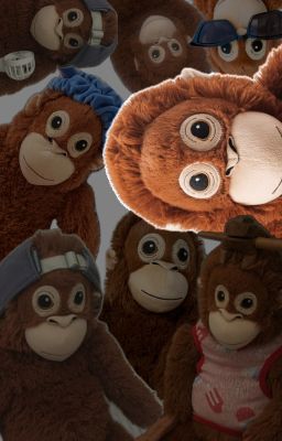 Seonghoon || Xinh Yêu