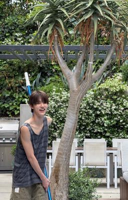 seonghyeon | đồ đáng ghét, cậu là của tớ mà.