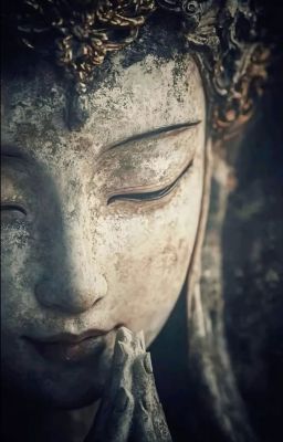 [ SEONGJAMES ] THIÊU ĐỐT
