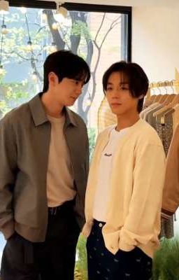 seongsi; mèo con
