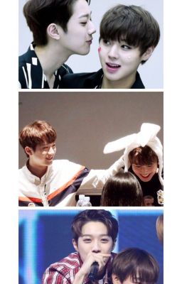 |Series| 183 & 173 |PanWink/GuanHoon/LaJi|