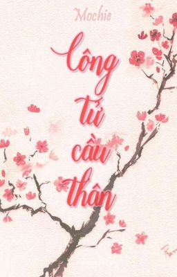 [SEVENTEEN] Công tử cầu thân