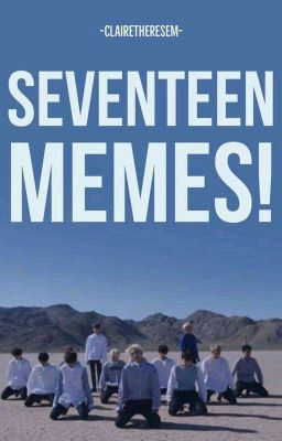 SEVENTEEN MEMES! 