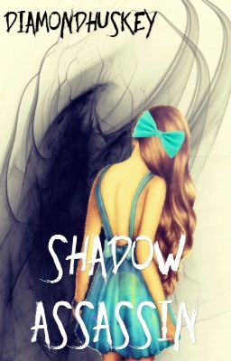 Shadow Assassin // Book 2