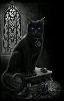 shadow clan warrior cat OC' s 