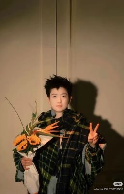 《Shatou Fanfic》 Cối xay gió trắng