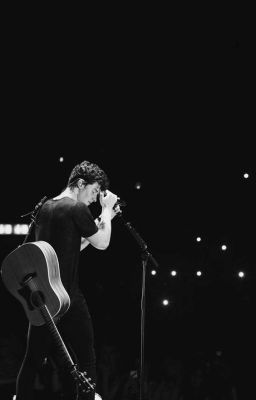 Shawn Mendes