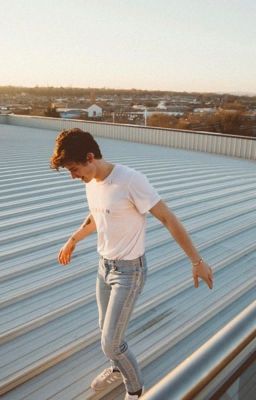 // Shawn Mendes //