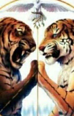 Shere Khan x reader (remake)