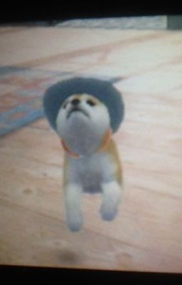 Shibe's blibber blabber