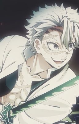 Shinazugawa Sanemi x Hanami Y/N「Tựa Sương Mà Không Tan」🌬️🌸