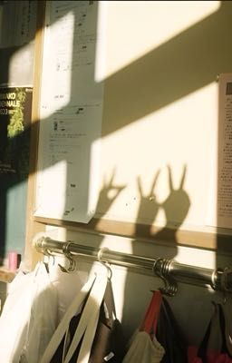 SHINING YOUTH