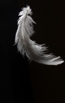 Short Stroy:Fallen