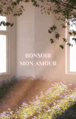 [SHORTFIC] Bonsoir, mon amour