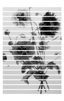 shortfic;LOST;myg