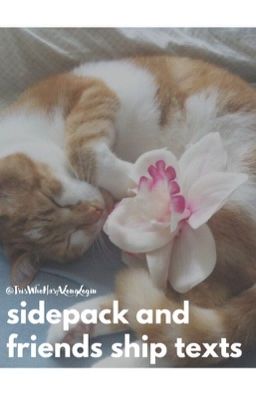 sidepack and friends ship texts | open