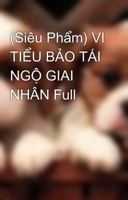 (Siêu Phẩm) VI TIỂU BẢO TÁI NGỘ GIAI NHÂN Full