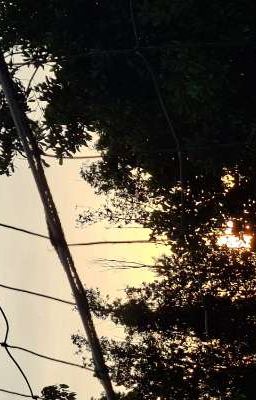 Sinh nhật đáng nhớ