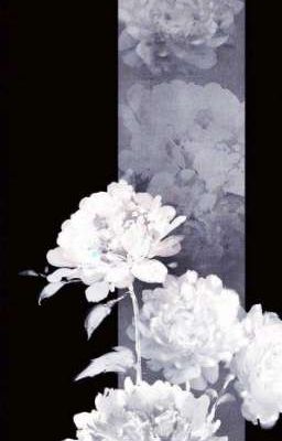 Sinh Sinh Thế Thế