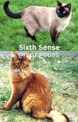 Sixth Sense