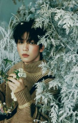 sj; winter