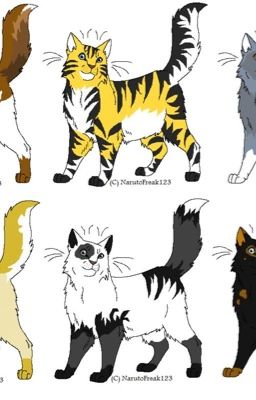 Skyclan Rp