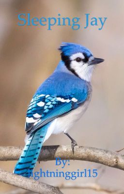 Sleeping Jay 