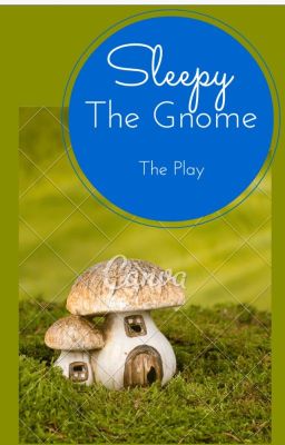 Sleepy The Gnome