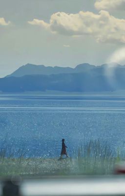 SnF | Sense | 1 Trăm Năm