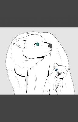 Snowball's Journey