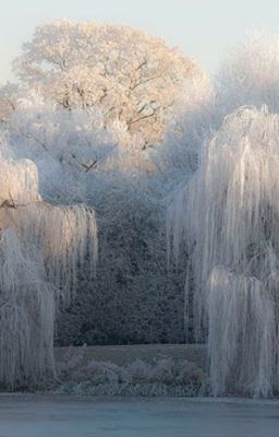 sobre hielo