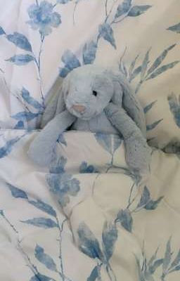 something about sữa píeo