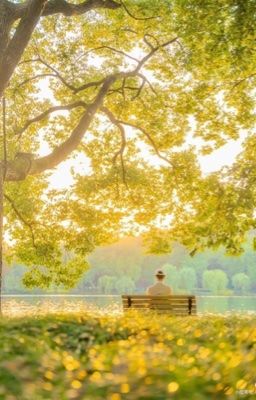 sơn khoa; một kiếp phôi phai