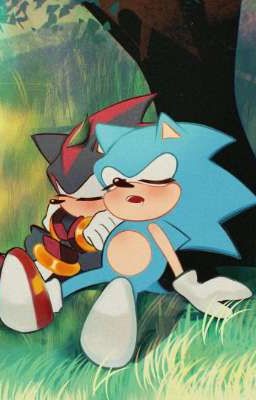[Sonadow/Shadonic] Gửi em, ở mọi vũ trụ 